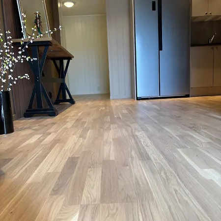 Apartmán Comfortable Near Raufoss And Gjovik